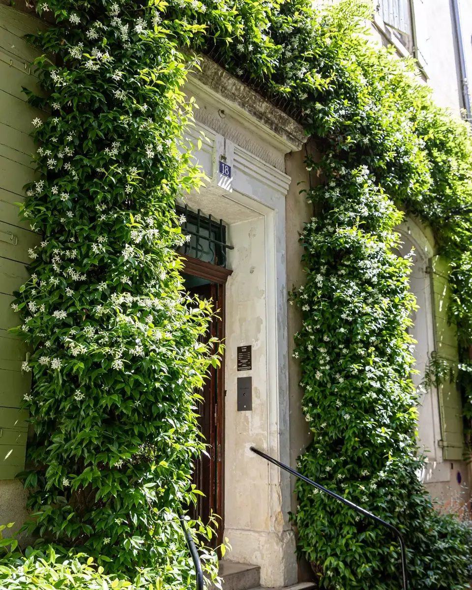 Entrance of hotel Le Cloître in Arles, France